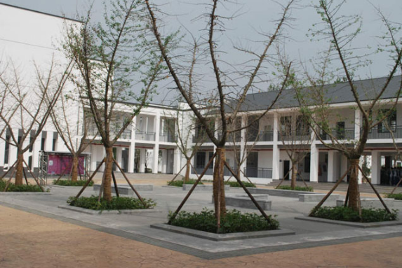 06.jpg